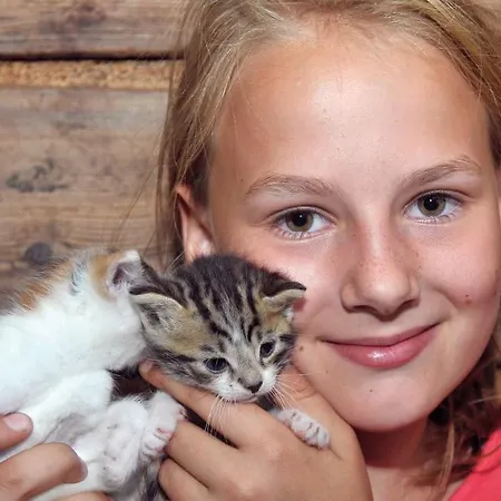 Abelhof שלאדמינג