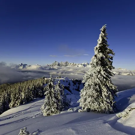 בית חווה Abelhof שלאדמינג