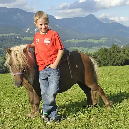 Alloggio per agriturismo Abelhof Schladming