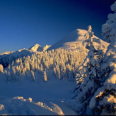 בית חווה Abelhof *