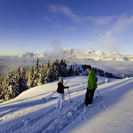 Abelhof Vakantieboerderij