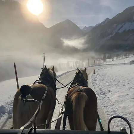 Vakantieboerderij Abelhof Schladming