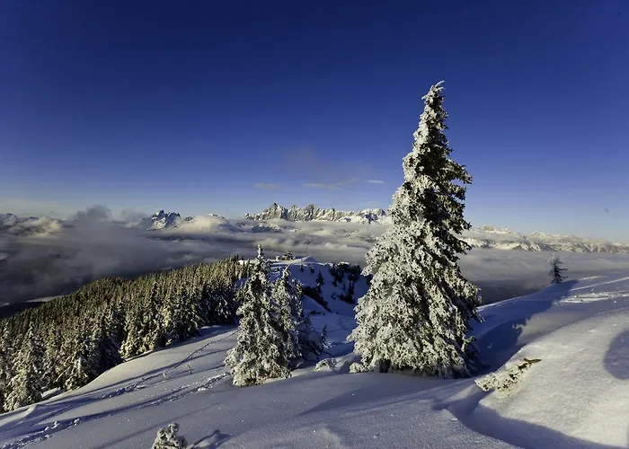 Lantgård Abelhof Schladming