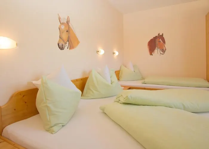 Bauernhof Abelhof Schladming