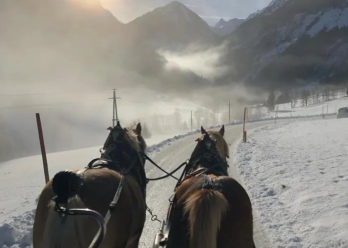 Lantgård Abelhof Schladming
